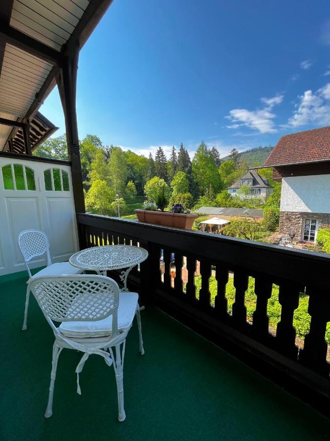 Hotel apartamentowy Park Zentral Am Mittelrhein - & 4*