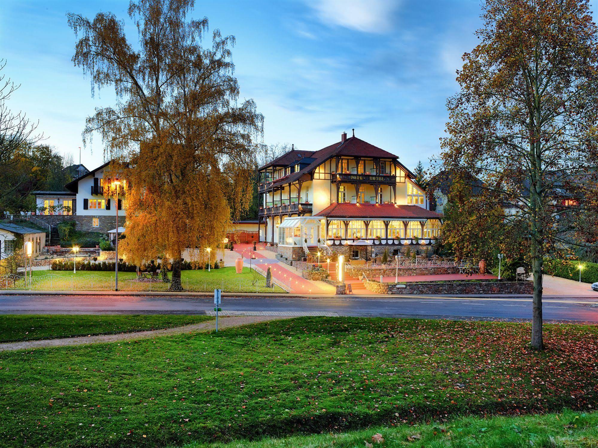 Hotel apartamentowy Park Zentral Am Mittelrhein - &